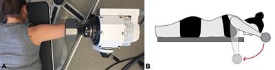 Changes in Muscle Activation During and After a Shoulder-Fatiguing Task: A Comparison of Elite Female Swimmers and Water Polo Players